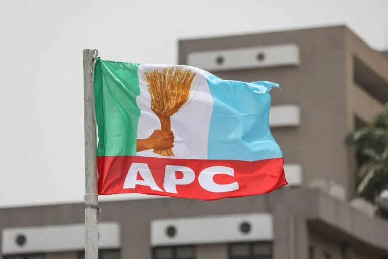 APC doesn’t need one-party system to win elections – Okechukwu