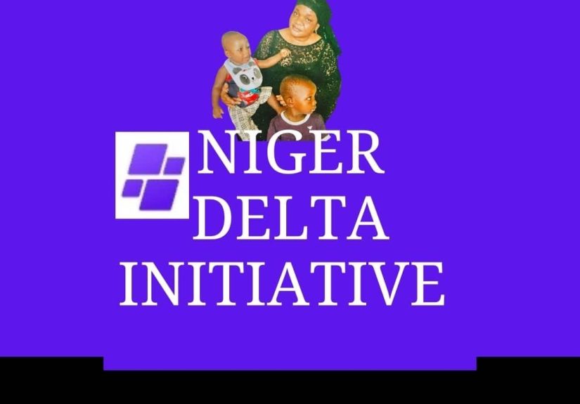 Niger Delta Initiative Commences Digital Skills Training for Women, Youths in Northern Nigeria