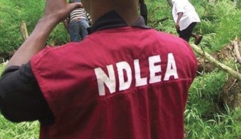 Outrage as Woman Dies in Court Over alleged Negligence by Edo NDLEA Officers